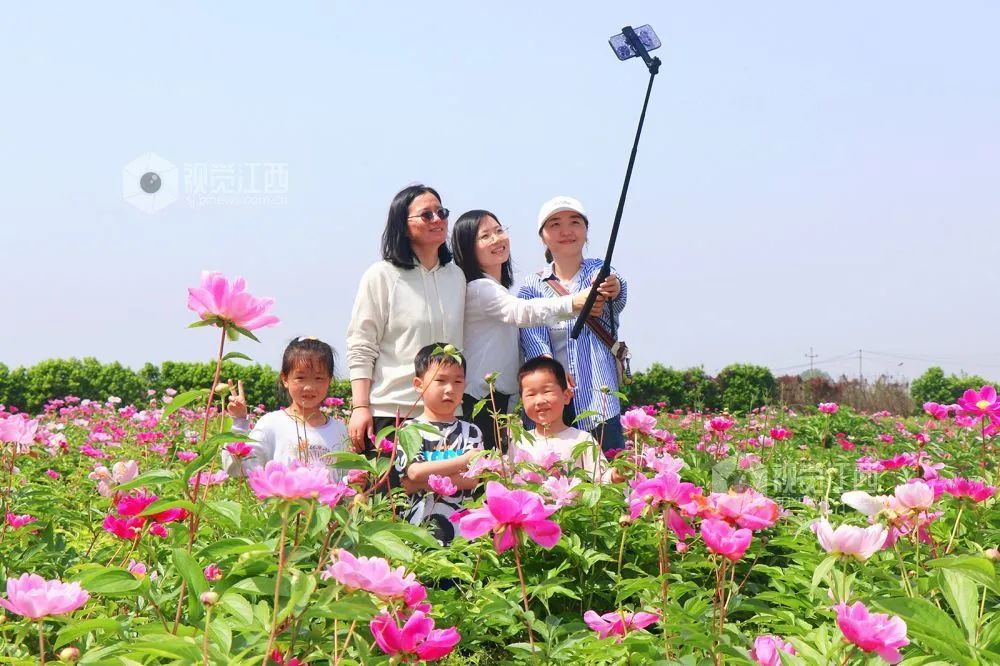 江西看尽人间冷暖,看江西赣剧