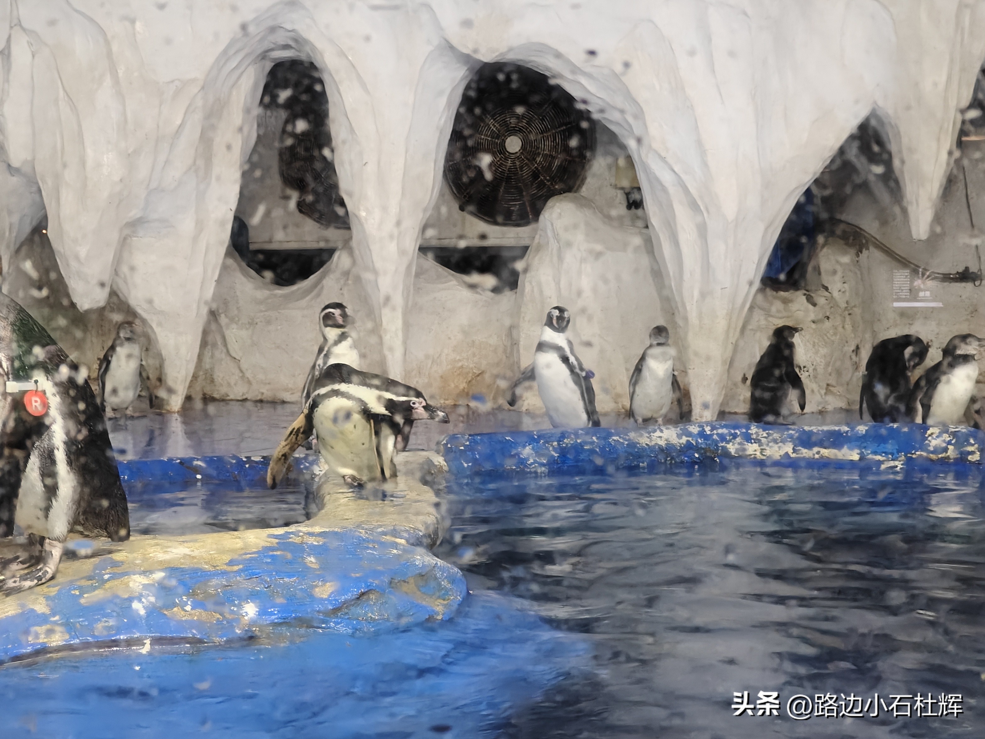 游逛人间,北京海洋馆旅游攻略