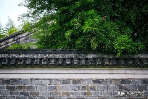 关于青山的诗句古诗名句,青山的经典诗词