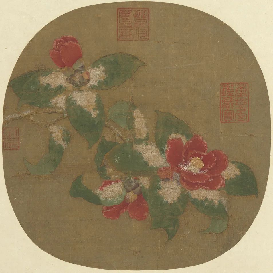 慕容看世界的视频,慕容看世界所有视频