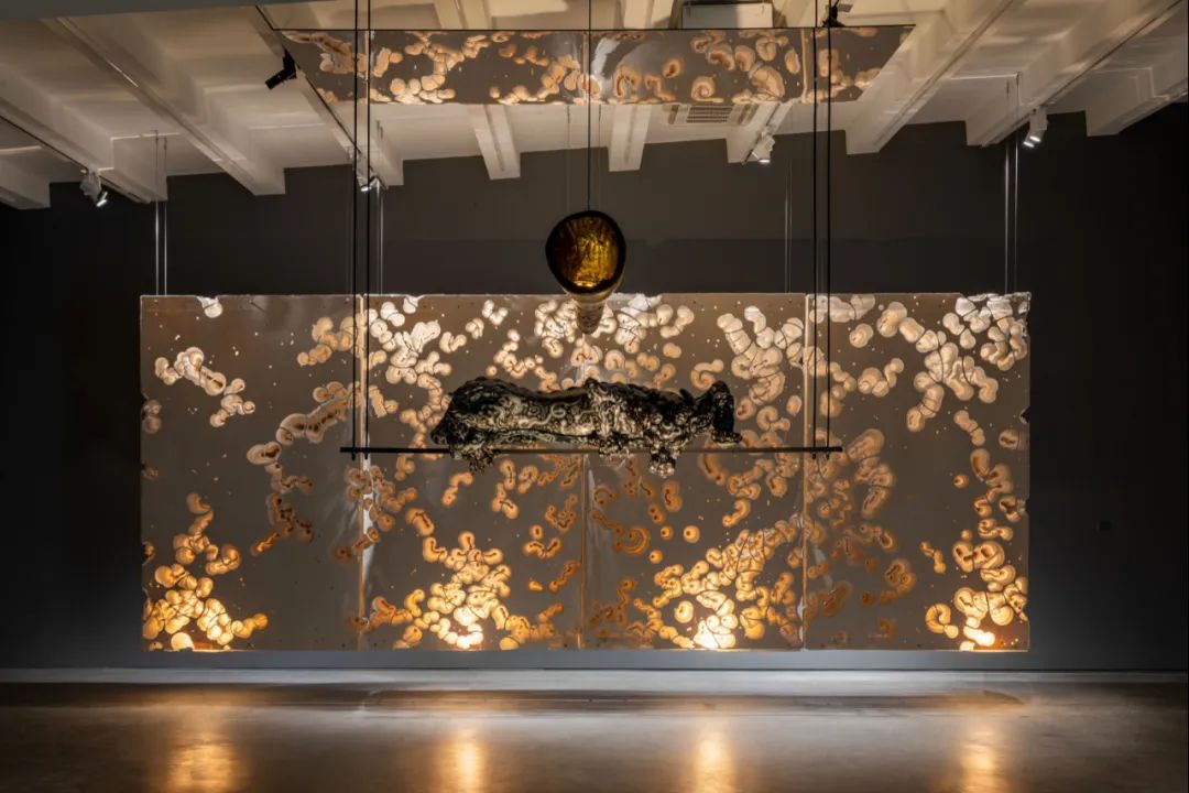 巨川,你好!|艺术栗子