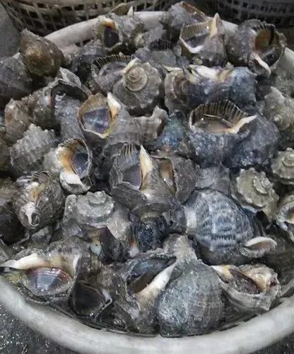 丹东附近的避暑好地方,丹东出去避暑自驾游3-4天最佳路线