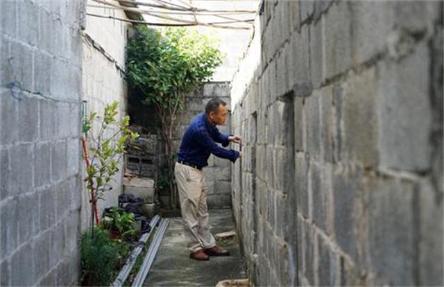 广西养蛇者被毒蛇咬死,广西养蛇第一人