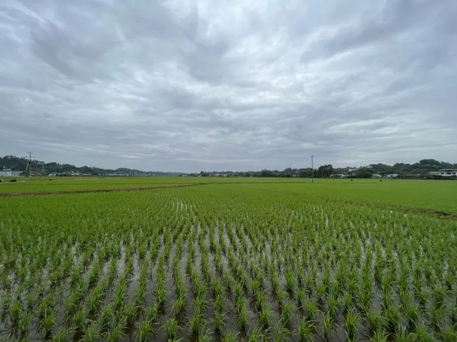 治理旱涝灾害的办法,防洪涝泥石流灾害的方法