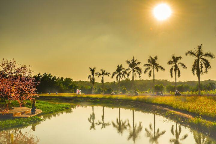 中长线期货高手的交易策略,期货交易高手真实经历