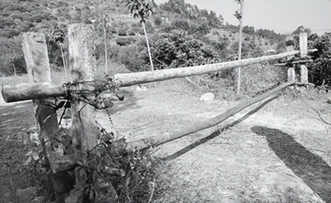 寮熷紵琚嫄楠楀埌娣卞北鑰佹灄,25宀佸皬浼欒楠楀ぇ灞遍噷