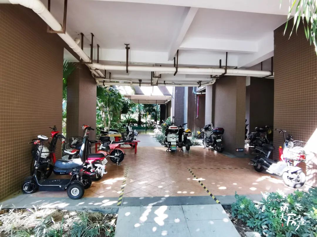 揭秘!10万+的天悦也很多*鸡电**!*鸡电**棚最豪的竟是它