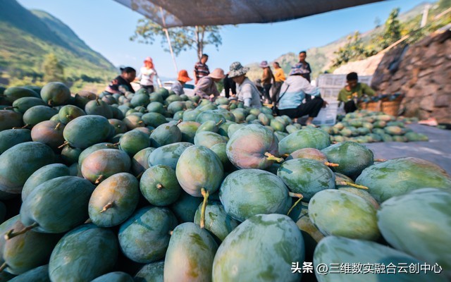 新型家庭农场的致富路,家庭农场的发展红利又将迎来高潮