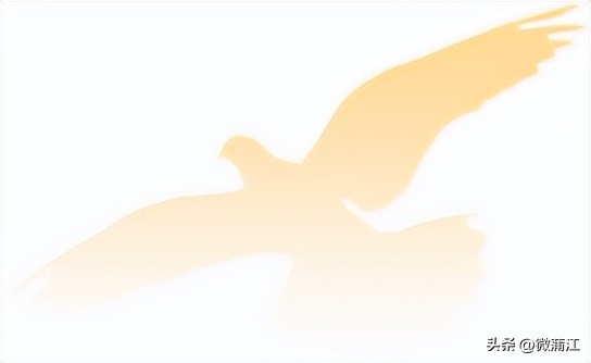 成都110中国人民警察节,成都110人民警察节