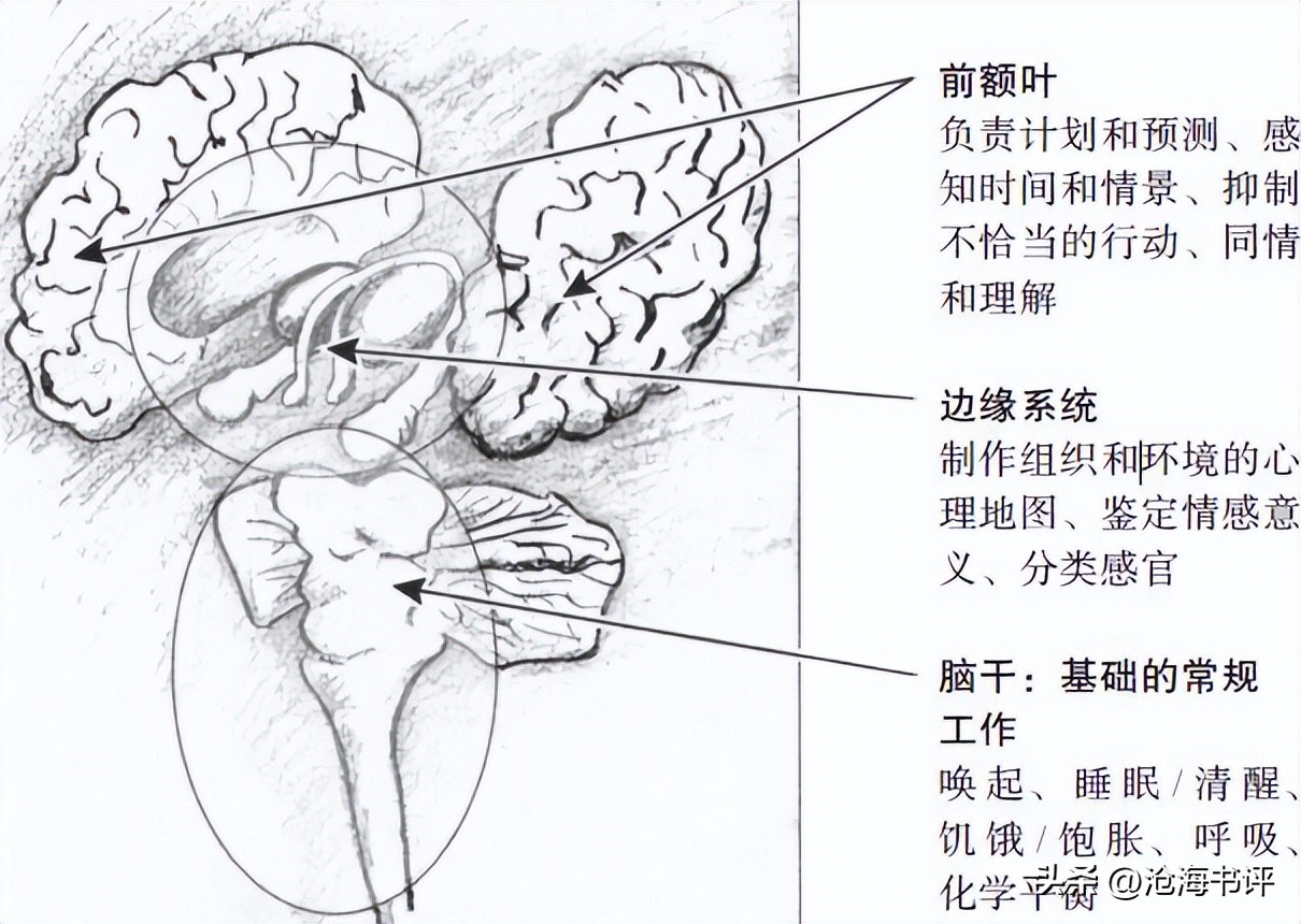 如何识别变态精神,怎样辨别心理变态的人