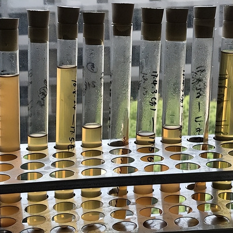 仔猪大肠杆菌腹泻偏方,仔猪大肠杆菌最佳治疗方法