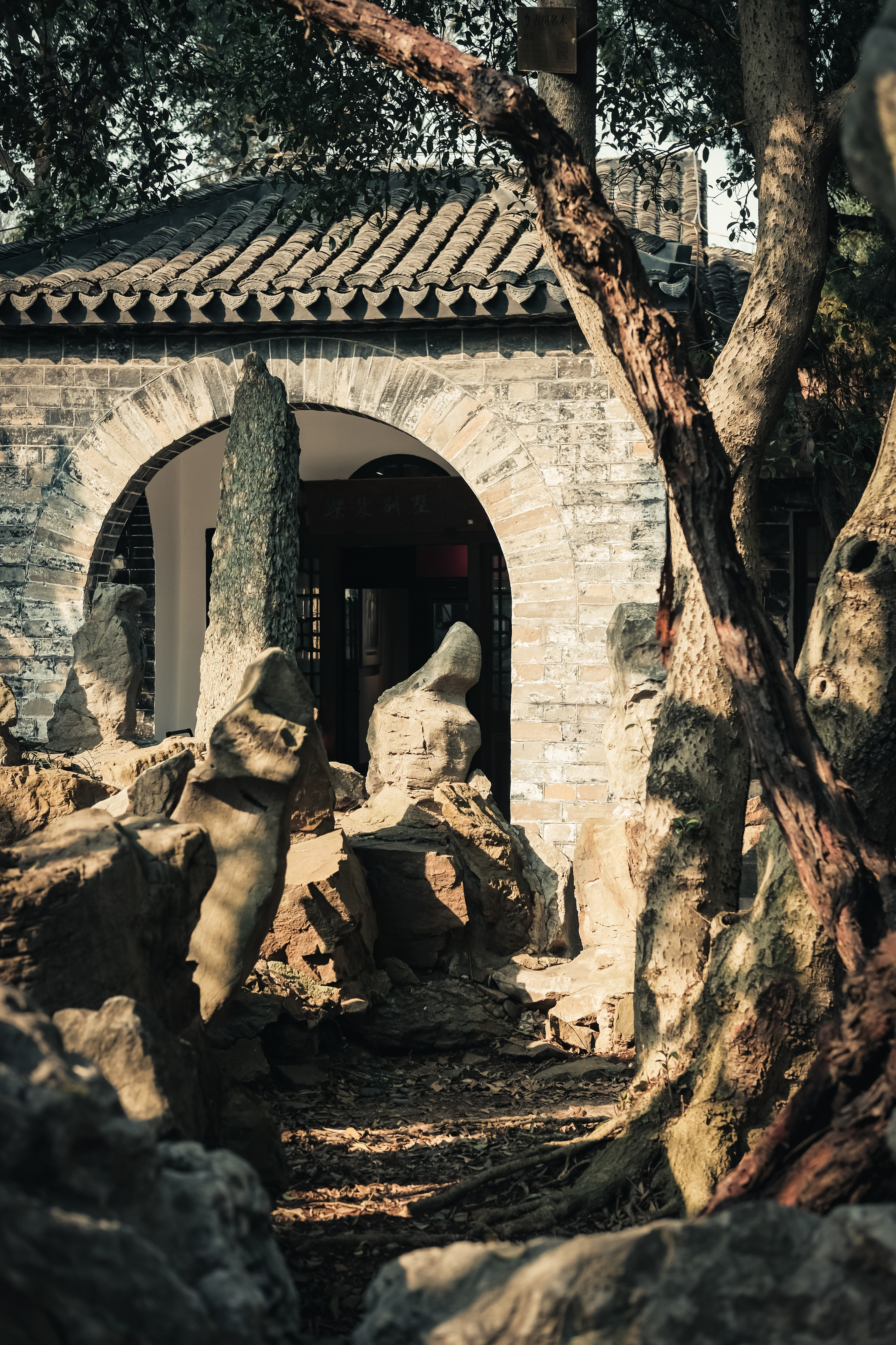 老梅园，你没有游览到；你游览的只是新梅园