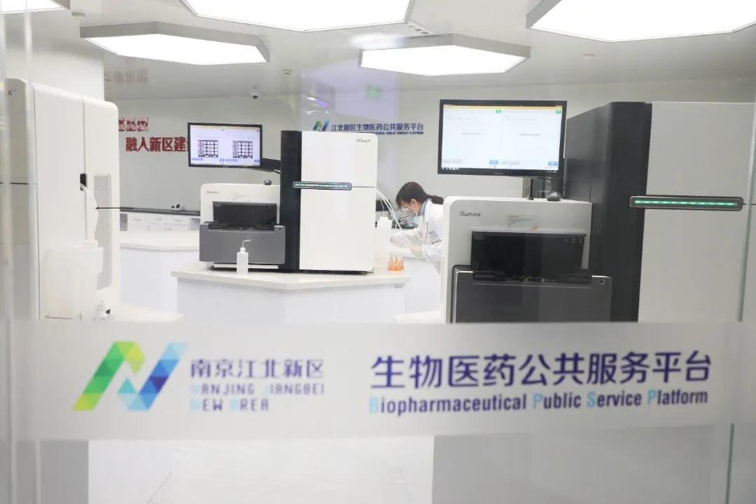 外贸增速达24.5%创10年,南京外贸逆势增长幕后探秘