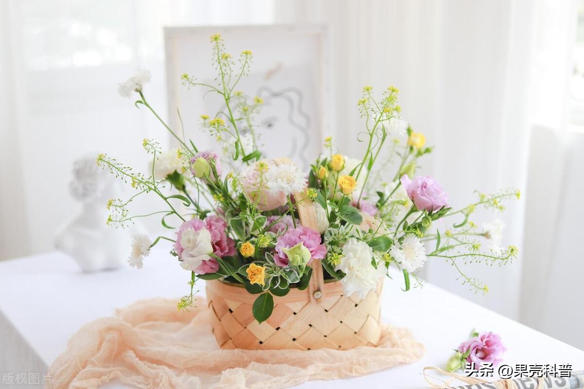 第三篇：花的奥秘|植物探秘：探索奇妙的绿色世界