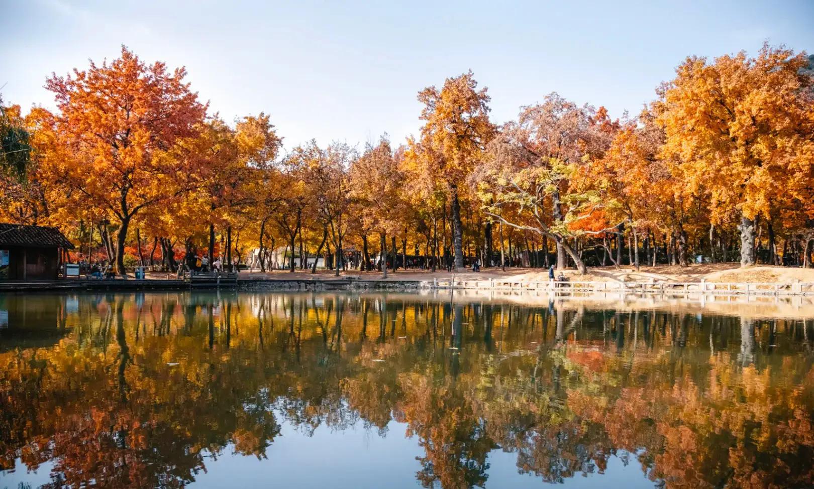 苏州秋季旅游最值得去的地方,苏州赏秋一日游攻略