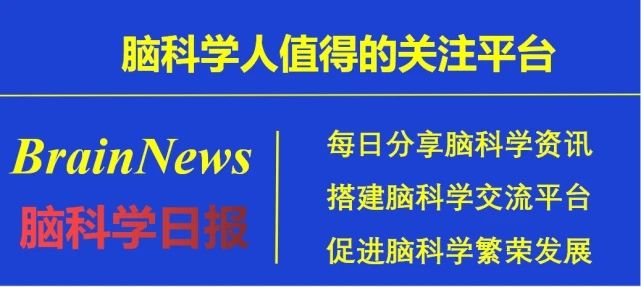 脑科学日报动态,脑科学日报完整视频