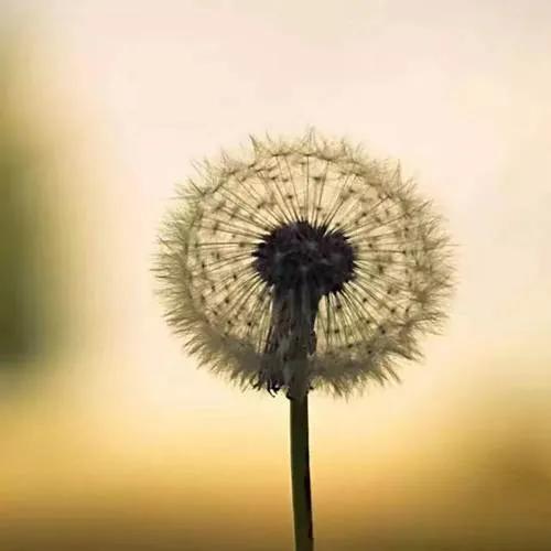 试驾不还行为的定性（案例探究）