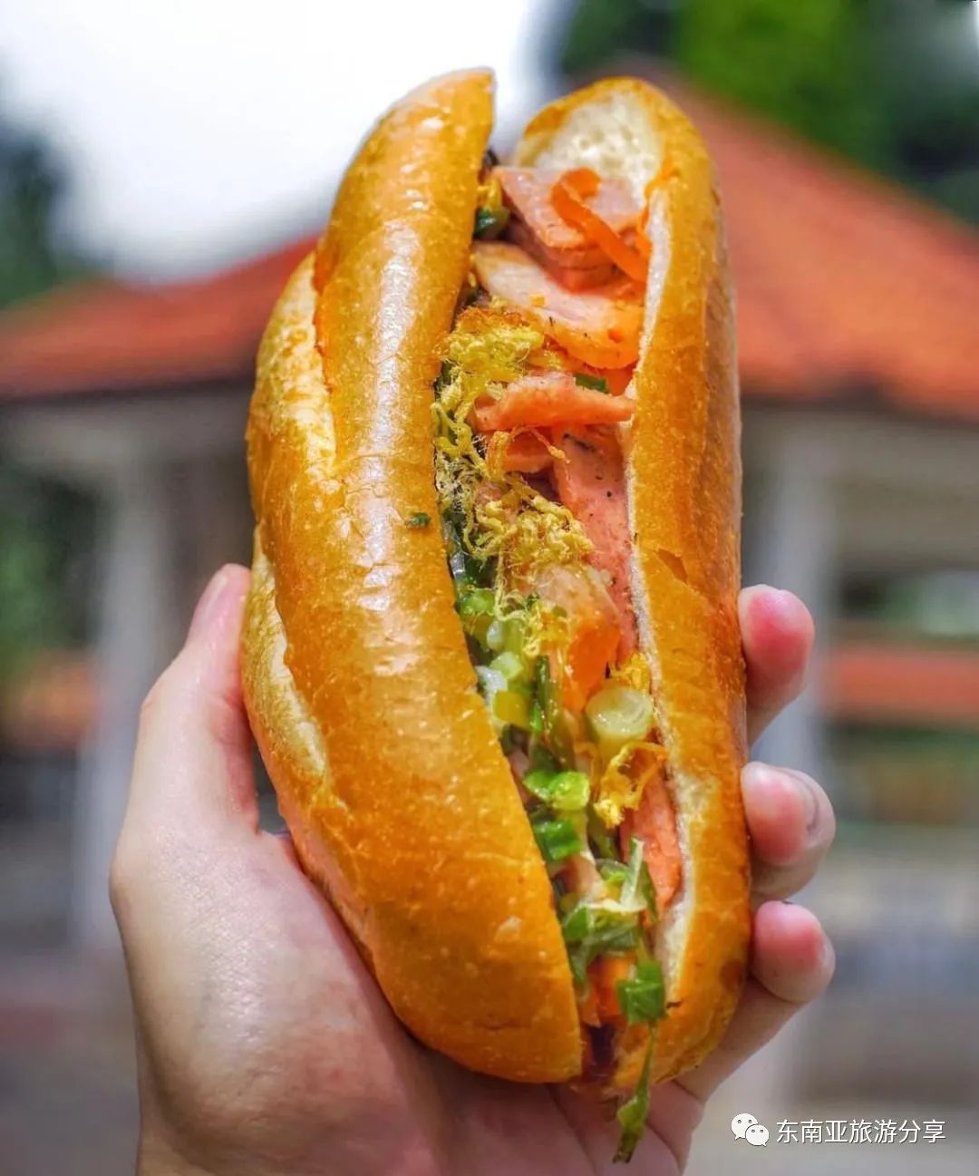 东南亚街头小吃,东南亚街头小吃煎饼