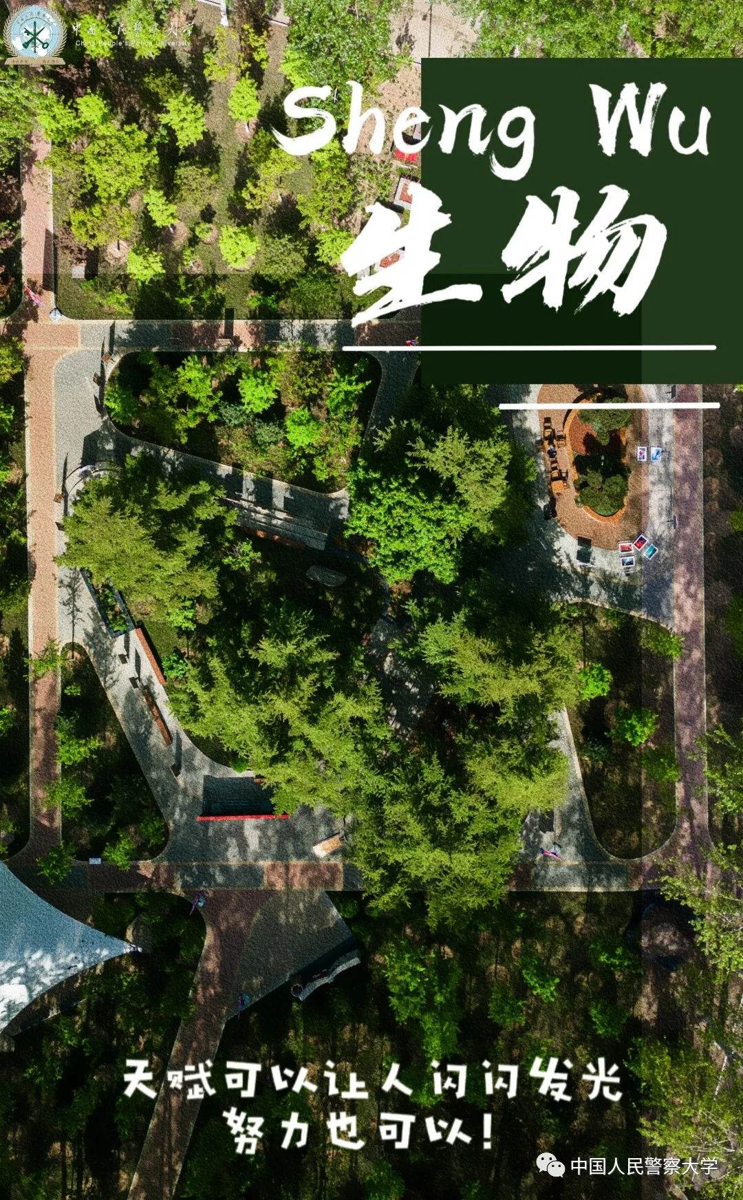 愿你们进入考场有所向披靡的自信,愿你们未来充满勇气和成功