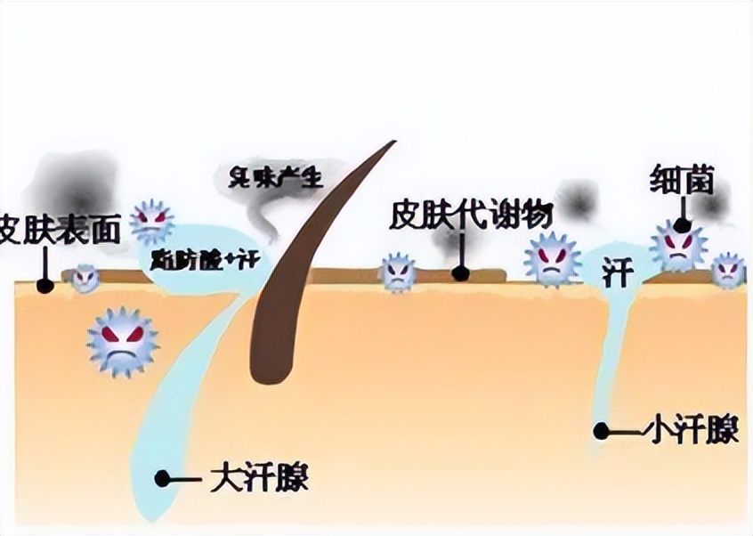 四个快速变丑的坏习惯,警惕10个让你变丑坏习惯
