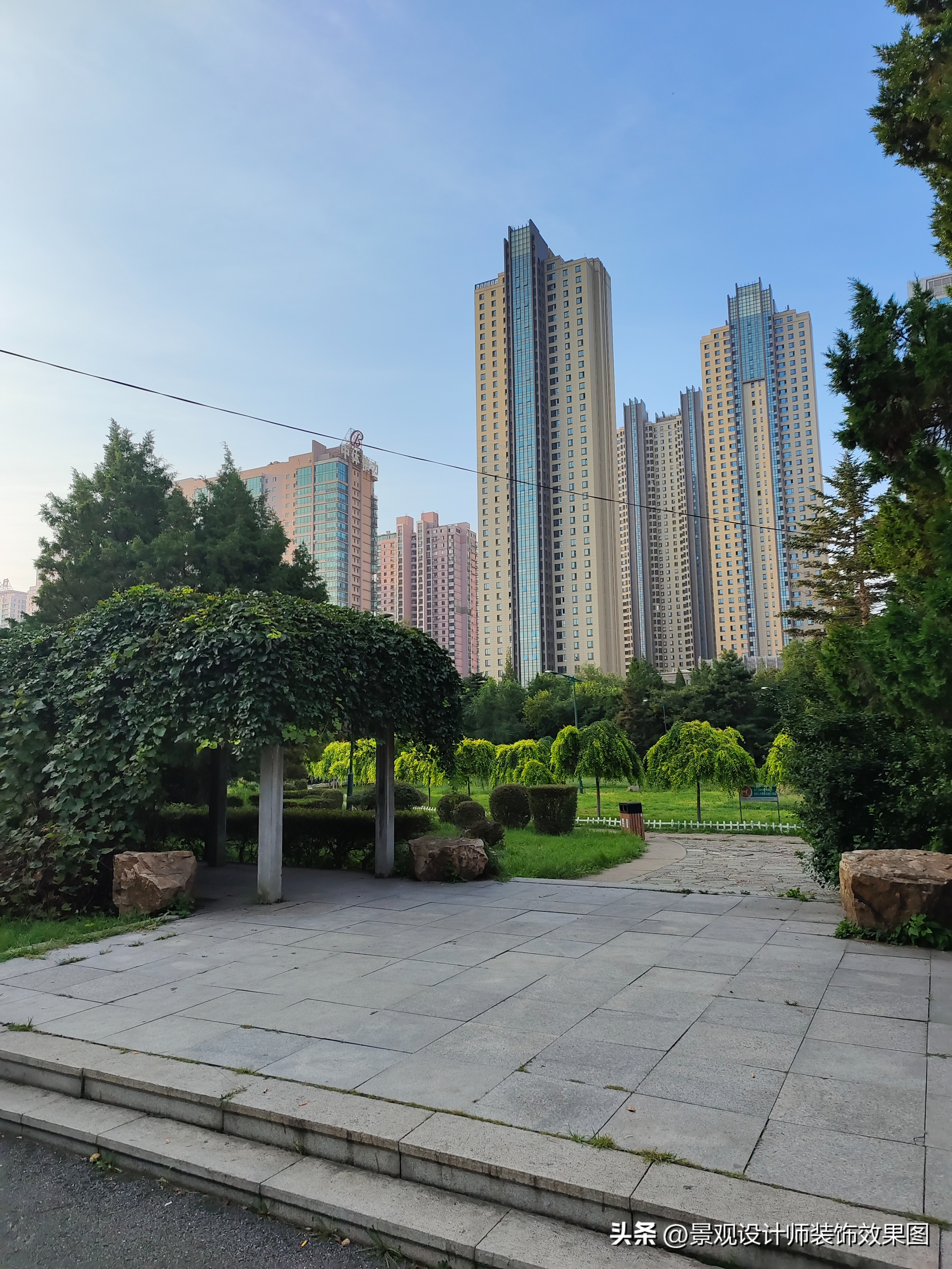 沈阳青年公园所在地,沈阳青年公园