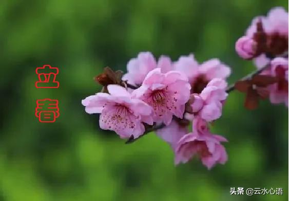 立春最美的十首诗,立春最出名的一首古诗七言绝句