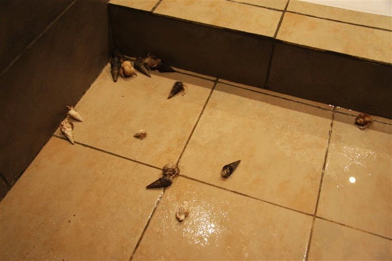 马尔代夫蜜月免费项目,蜜月旅游去马尔代夫哪个岛屿最好