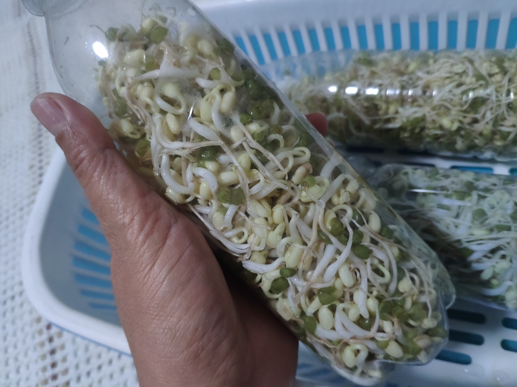 自制免浇水发豆芽,自己怎么做发豆芽神器