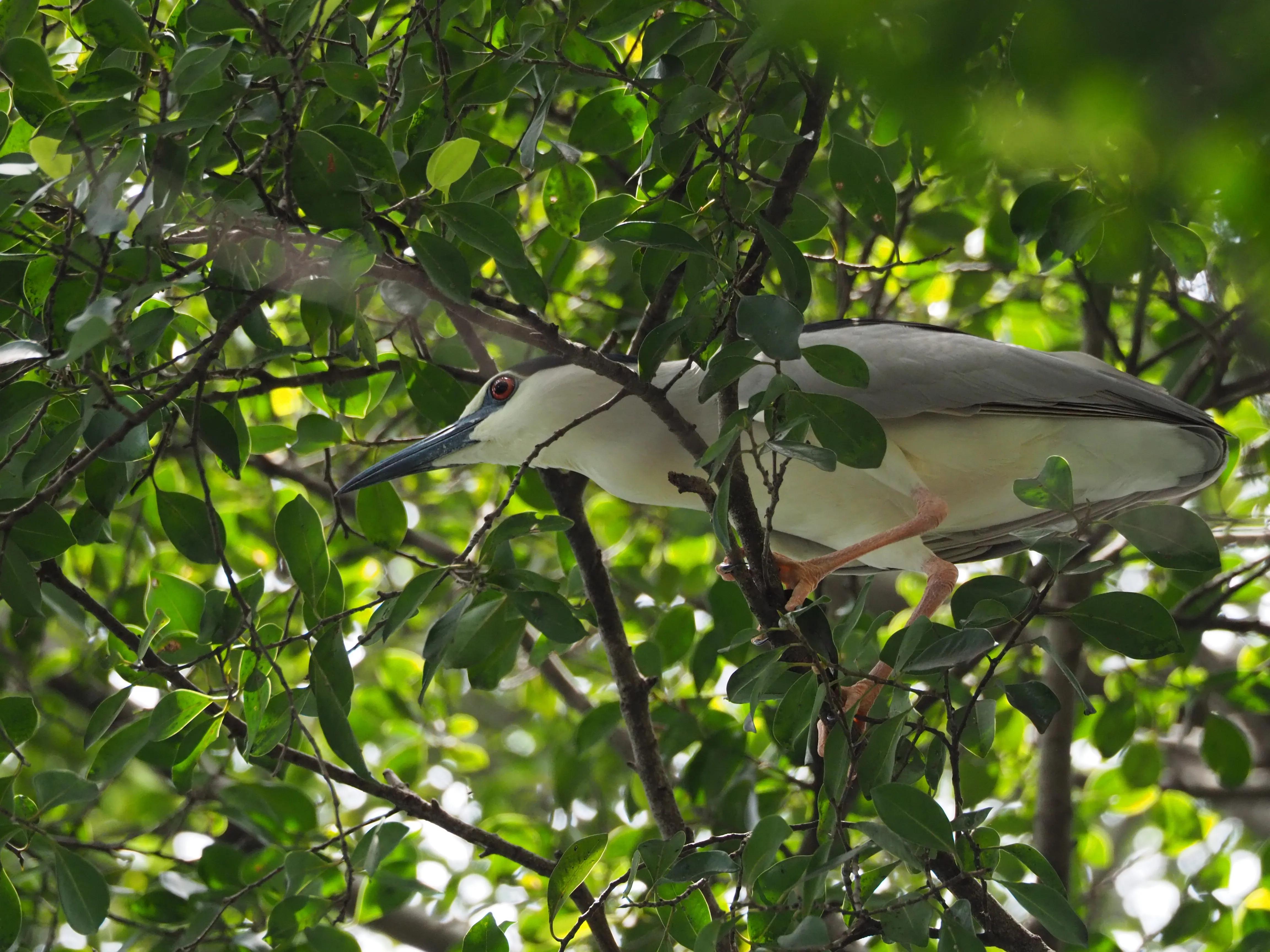 五一假期，O记实录