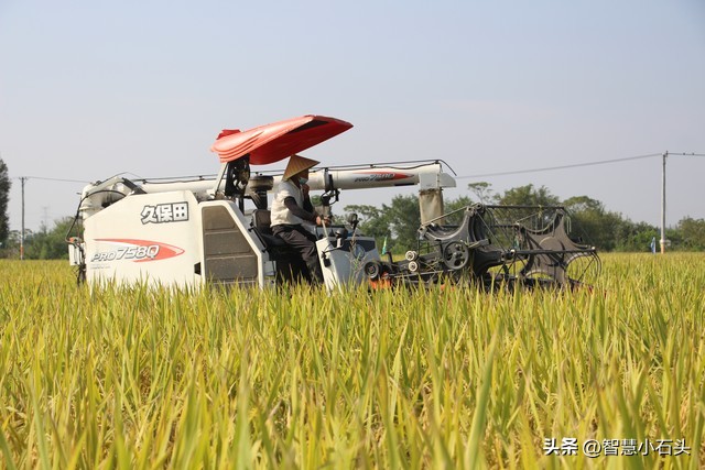 发展壮大农村新型集体经济,农民合作社推动新型集体经济