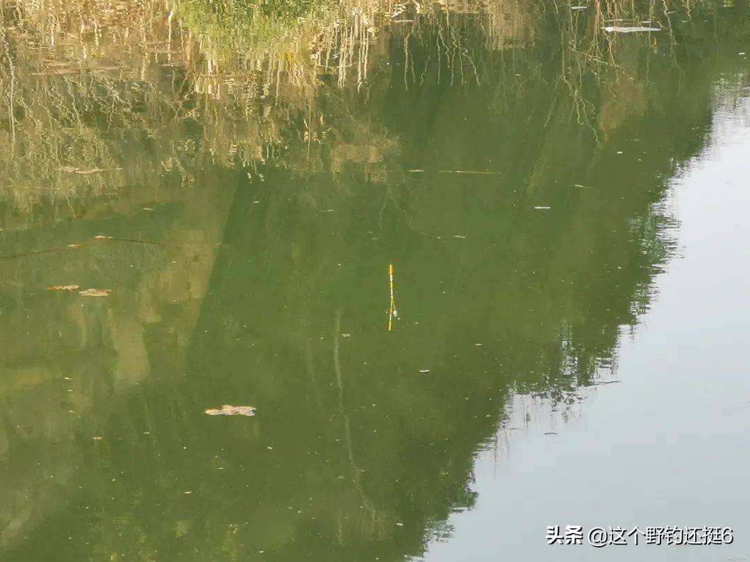 野钓钓鱼技巧选钓位和时间,春末钓鱼技巧选钓位和时间