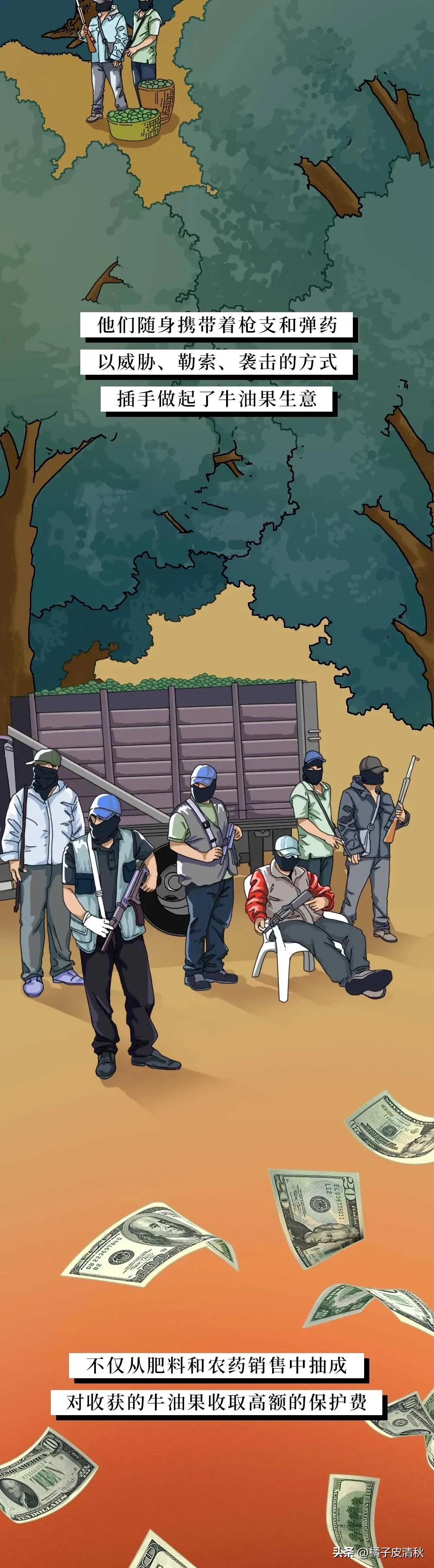 墨西哥进口牛油果,墨西哥牛油果云南