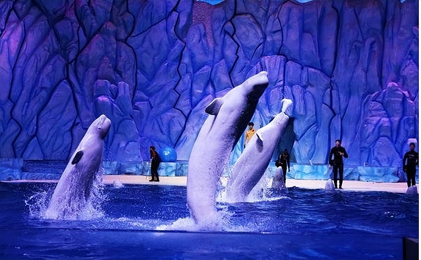 浠庣彔娴峰埌棣欐腐鏃呮父鏀荤暐,鐝犳捣闀块殕鏅尯鏃呮父鏀荤暐