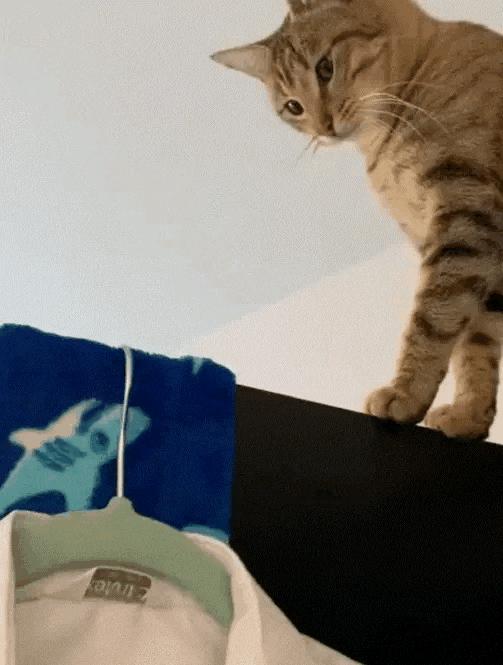 肾虚健身可以调理吗,肾虚健身可以改善吗