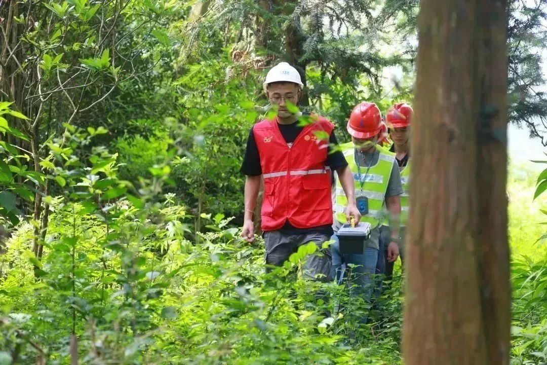 悬念揭晓在即,悬念揭晓视频