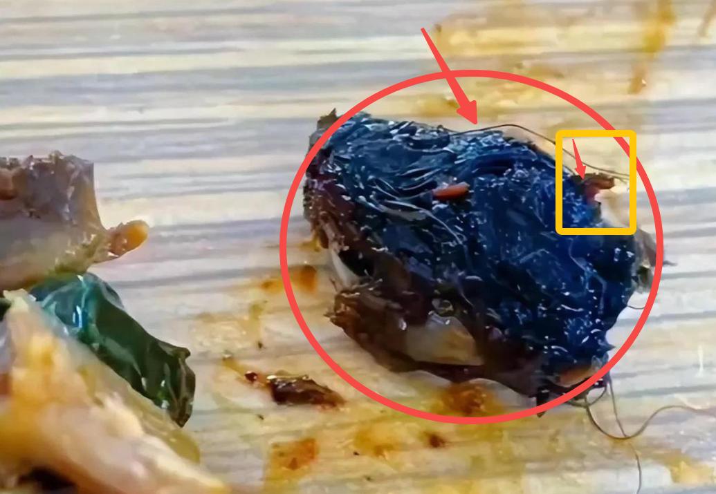 闹大了！“老鼠头事件”，教育厅出马，会不会有人已经瑟瑟发抖？