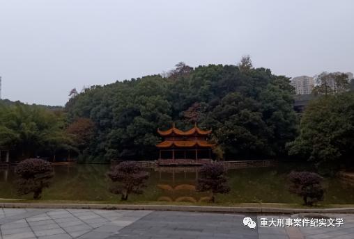 周克华的人生经历,周克华的一生简介