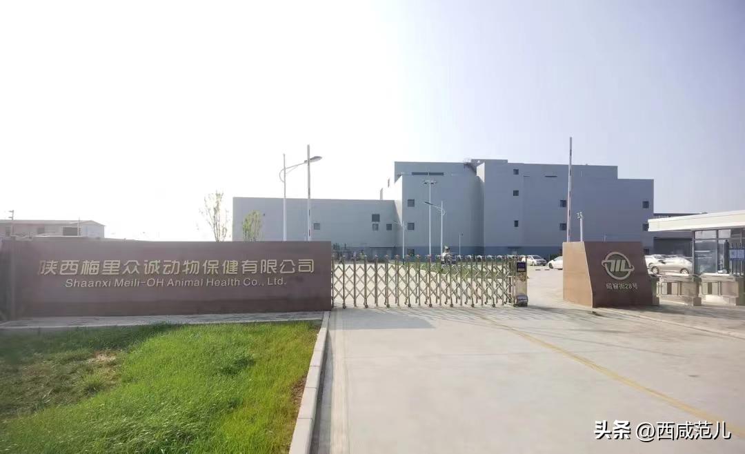 下半年，西咸区域全面“开挂”！学校、医院、道路、产业园兑现