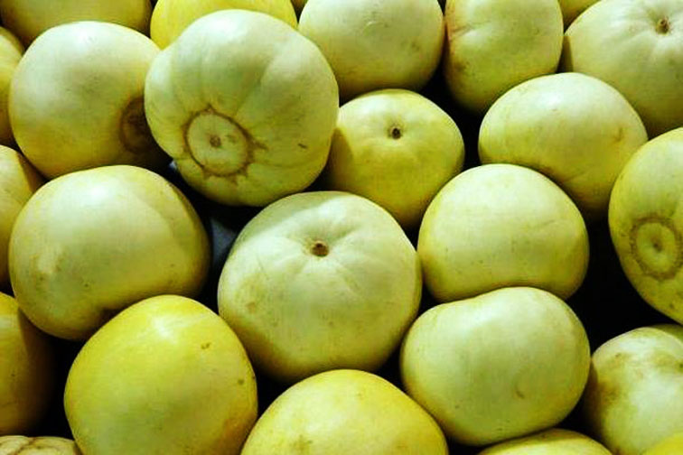 香瓜的农耕特点,香瓜的起源地在哪里