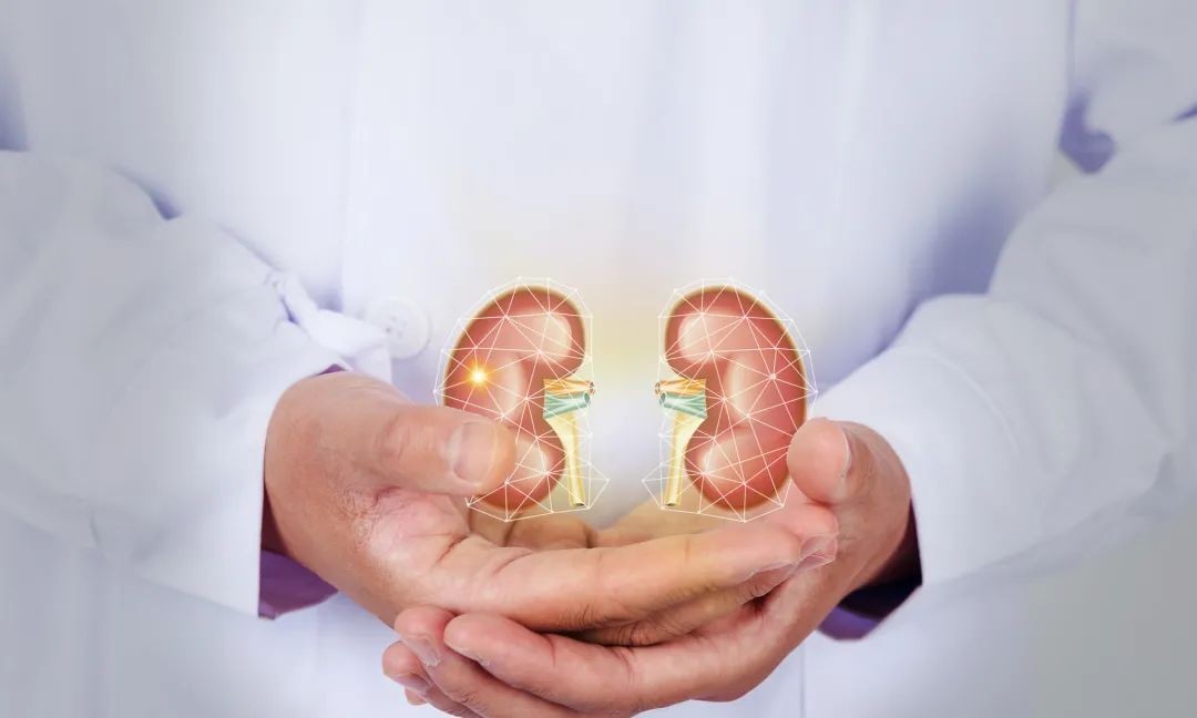 中国肾病患者超一亿是真的吗,肾病有一亿人吗