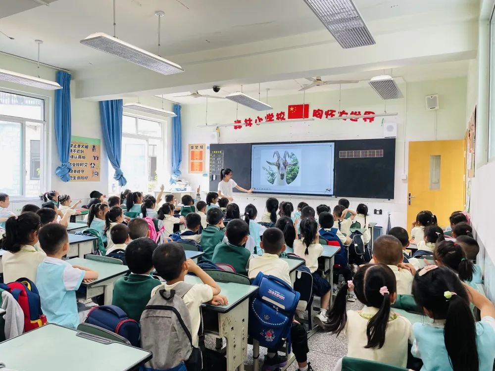 成都天府新区小学,四川天府新区永兴小学5年级6班