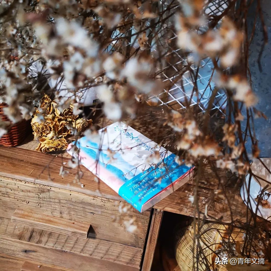 “四大美人”中的杨玉环到底有多美？