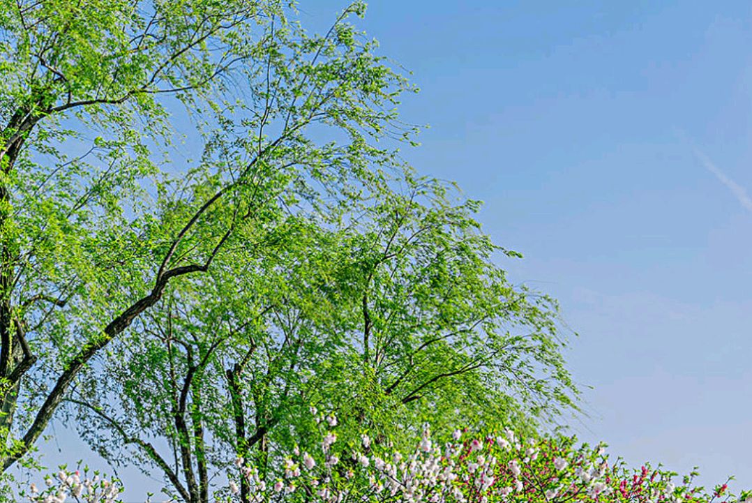 吃什么维生素可以防止掉发,吃什么维生素防止掉发