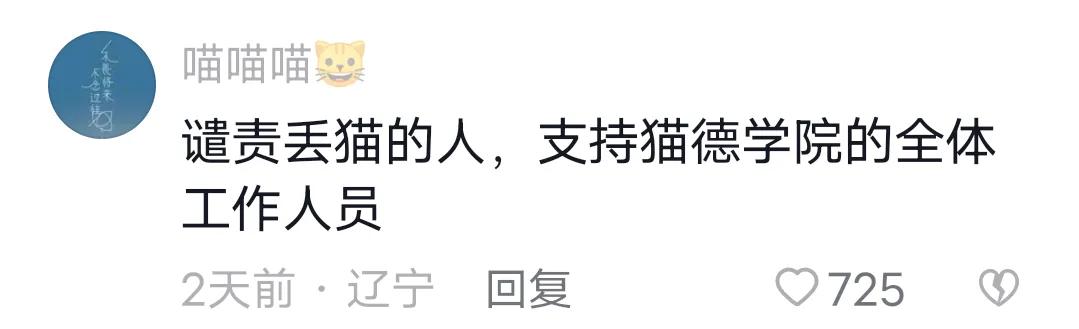 猫德学校为什么要抓猫,猫德学院三年绑架700多只流浪猫