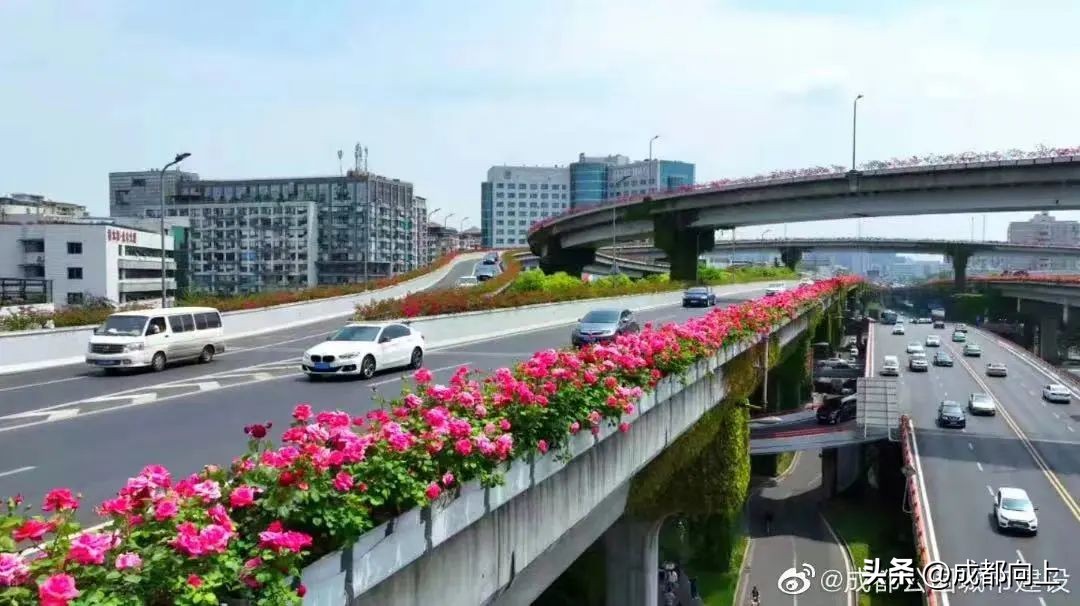 浜岀幆楂樻灦缁块噹浠欒釜瑙嗛,浜岀幆楂樻灦缁块噹浠欒釜