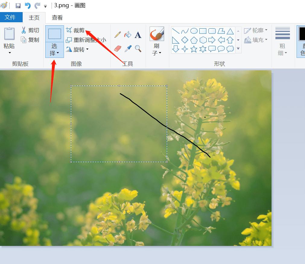 finalcutpro怎么裁剪尺寸,怎么裁剪照片到规定的尺寸