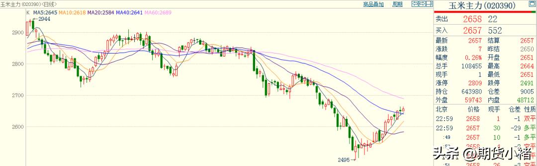 玉米盘中强势上涨,玉米现货上涨