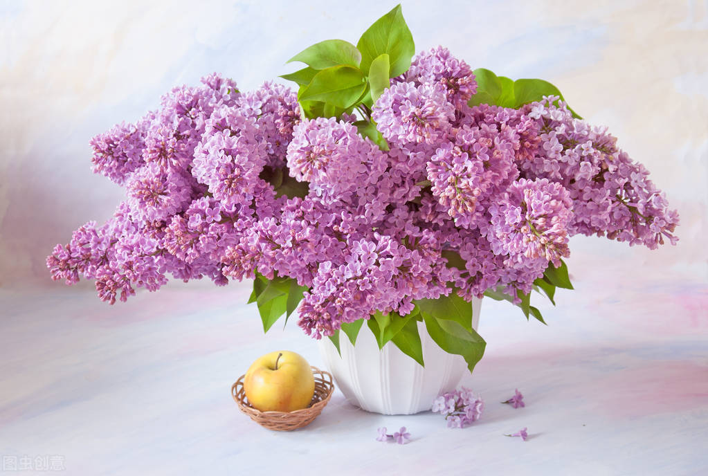 如何和对方聊得舒服,跟女孩子聊天如何引起对方的兴趣