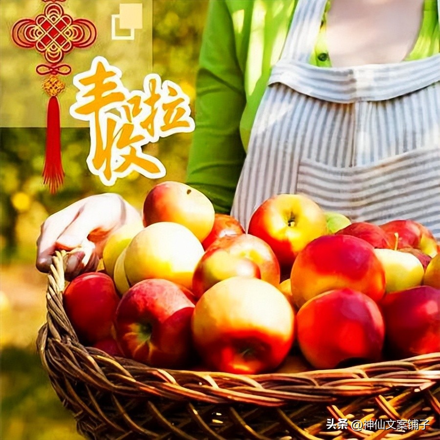 秋天收稻子的文案,形容秋天大丰收的句子有什么