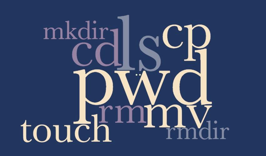 linux鐭ヨ瘑骞茶揣,鐪嬪畬杩欑瘒浣犱竴瀹氳兘鎺屾彙linux